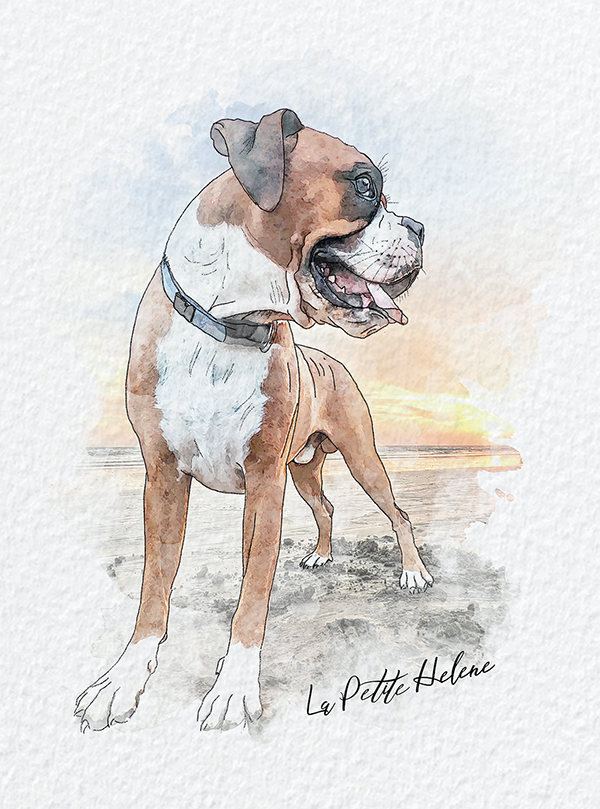 ilustración perro